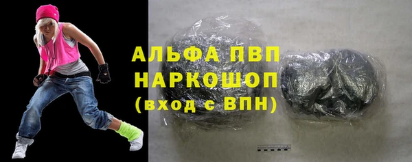 МДПВ Туринск
