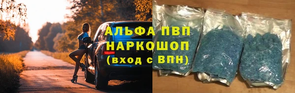 spice Тында