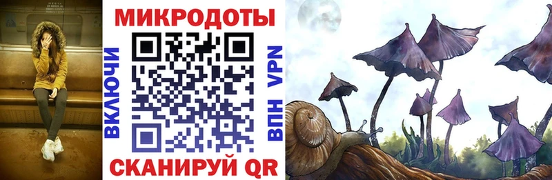 купить закладку  Калачинск  Галлюциногенные грибы Psilocybine cubensis 
